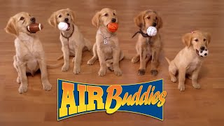 AIR BUDDIES Cães Amigos  Brasil version [upl. by Shelah]