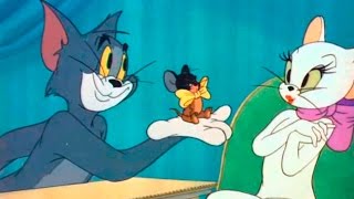 Tom and Jerry  Episode 55  Casanova Cat 1951 [upl. by Kralc]