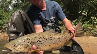 North Georgia guided fly fishing [upl. by Mima436]