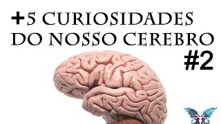 5 Curiosidades sobre o Cérebro Humano NeuroAnatomia 2 [upl. by Anayek]