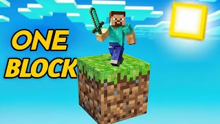 MINECRAFT ONE BLOCK 100 DAYS CHALLENGE [upl. by Scarlett]