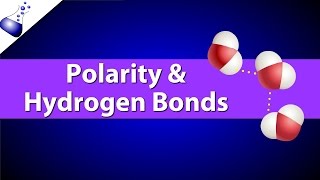 Polar Bonds and Hydrogen Bonds [upl. by Yvon]