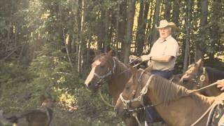 Horseback Trip in Blaeberry [upl. by Deyas]