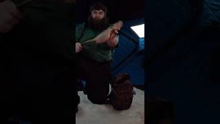 Alaska ice fishing for burbot eelpout takes flight fishalaska fishing icefish icefishing alaska [upl. by Aicilyt]