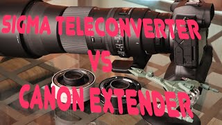 Canon extender 14x III vs Sigma Teleconverter on sigma 150600mm on EOS R Full Frame Canon Camera [upl. by Westfahl]