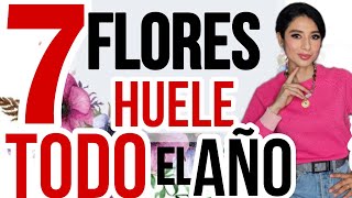 ✅️7 PERFUMES FLORALES MUJERES PARA OLER SUPER DELICIOSO SIEMPRE‼️ [upl. by Ahsekyw66]