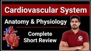 Cardiovascular System Anatomy amp Physiology Complete Short Review [upl. by Inalaek]