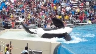 One Ocean SeaWorld San Diego 2013 Part 4 [upl. by Thinia]