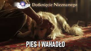 Pies i wahadło  Dotknięcie Nieznanego NŚ 061999 [upl. by Disini]