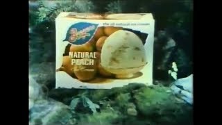 Breyers Ice Cream Commercial 1978 [upl. by Cornish]