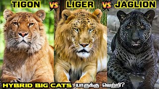 Liger vs Tigon vs Jaglion in Tamil  லைகர் vs டைகான் vs ஜாக்லையான்  Savage Empire [upl. by Nosral]