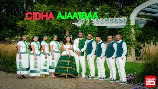 cidha oromoo faarfannaa wajjin Oromo Ethiopian amazing wedding 2024 [upl. by Sivam]