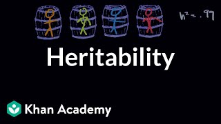 Heritability  Behavior  MCAT  Khan Academy [upl. by Aniehs644]