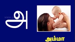 தமிழ் அரிச்சுவடி  உயிர் எழுத்துக்கள் Vowels  உயிர் மெய் எழுத்துக்கள் Consonants [upl. by Hiro62]