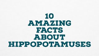 10 AMAZING FACTS ABOUT HIPPOPOTAMUSES [upl. by Amikay]