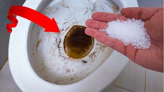 The Secret to a Spotless Toilet Say goodbye to a dirty toilet bowl forever with just salt [upl. by Retniw639]