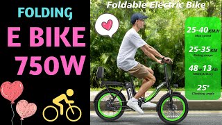 Folding E Bike 750W [upl. by Nerred]