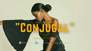 FREE Spice x Vybz Kartel  Conjugal Visit Type Beat 2022  New Dancehall Riddim 2022  Dancehall [upl. by Coward]