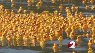 URS Rubber Duck Regatta [upl. by Anaillil]