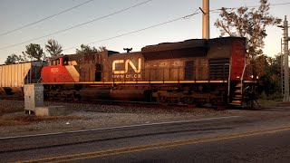 CN L518 passes through Laplace LA [upl. by Adnuhs]