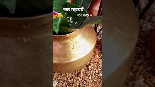 jay chati maiya🙏❤️ newshots newvideo trendingshorts bhojpuri chhatpuja [upl. by Atalya823]