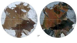 Virtual Microscope Βιοτίτης  Biotite [upl. by Oech]