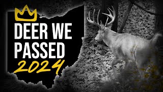 Deer we passed in 2024 Ohio Season Recap [upl. by Anitak239]