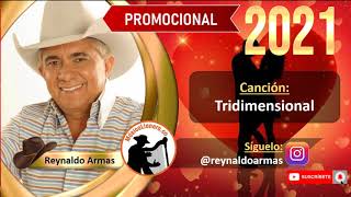 Tridimensional  Reynaldo Armas 🎶 Música Llanera 🤠 [upl. by Aliza]