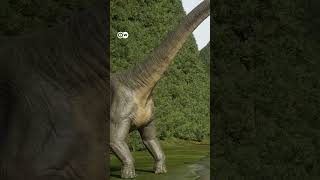 कुछ डायनासोर क्यों थे बहुत बड़े How did some dinosaurs grow so large [upl. by Jeb]