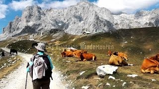 Picos de Europa  Highlights HD [upl. by Razec]