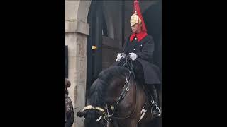 Kings guard gives the boy a nod to approach the horse horseguardsparade [upl. by Assin4]