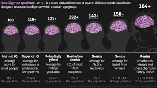 Online IQ tests What are the realities [upl. by Ailec745]