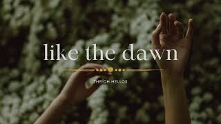 The Oh Hellos  Like the Dawn Lyrics [upl. by Rhine]