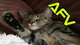 ☺ AFV Part 218 NEW Americas Funniest Home Videos Funny Clips Fail Montage Compilation [upl. by Nolan393]