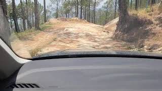 Automatic Hill Descent Control of Tiguan in Action [upl. by Glassco]