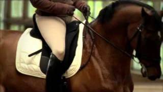 The NEW Isabell Dressage Saddle [upl. by Raycher901]