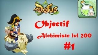 Dofus Monter Alchimiste lvl 200  Ep 1 lvl 1 à 40 Maj 229 [upl. by Lleynad]