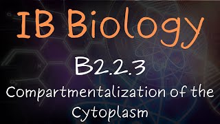 Compartmentalization of the Cytoplasm  B223 [upl. by Sonnnie]