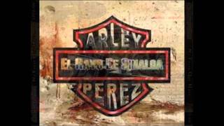 arley perez chikilin avendaño [upl. by Leggat599]