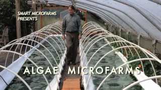 Algae Microfarms Book • Robert Henrikson • 2013 [upl. by Aihsinat226]