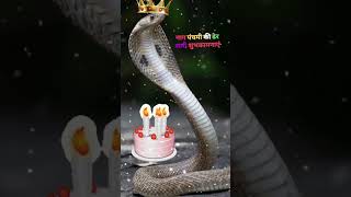 bhai ka birthday hai aaj status shorts [upl. by Najed774]