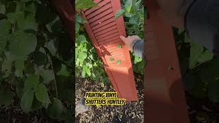 Painting Vinyl Shutters  Huntley IL [upl. by Yezdnil]