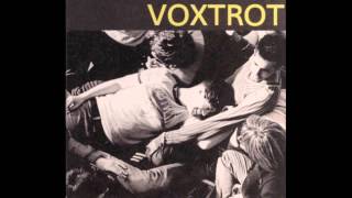 Voxtrot  Raised by Wolves lyrics [upl. by Annil]