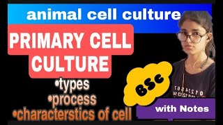 primary cell culture  animal cell culture part 3  BSc  with notes [upl. by Haimaj]