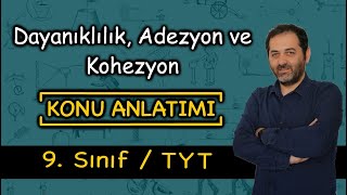 Madde ve Özellikleri  2 Adezyon Kohezyon Yüzey Gerilimi Kılcallık Dayanıklılık [upl. by Eirene]