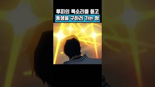 해군 시점에서 보는 정상결전 원피스 25주념 기념 ‘팬레터’ [upl. by Meehar866]