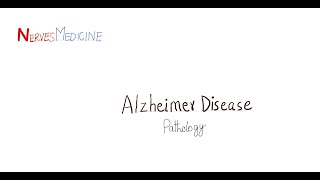 Alzheimers disease  plaques  tangles  Pathogenesis and Morphology [upl. by Byler977]