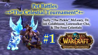 World of Warcraft  Pet Battles The Celestial Tournament 1 [upl. by Elatan431]