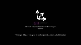 Entamoeba histolytica ANIMATION [upl. by Neelrahs]