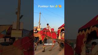 Pushkar Ajmer Rajasthan 📍 pushkarmela2024 trending aboutajmer01 travellingvlog [upl. by Resiak949]